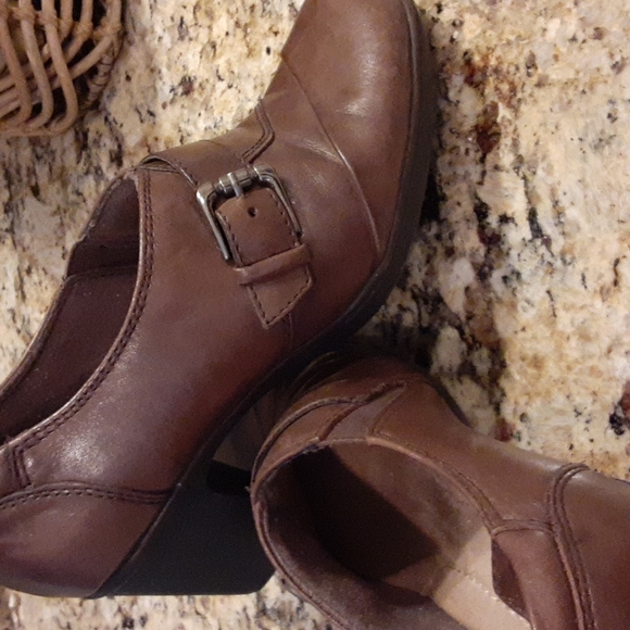 Earth Origins by Earth - Picture 5 of 10